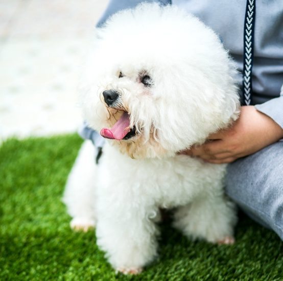 Is Artificial Grass Safe For Kids And Pets?